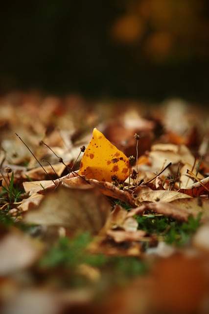 伐和精准的 伐和精准的