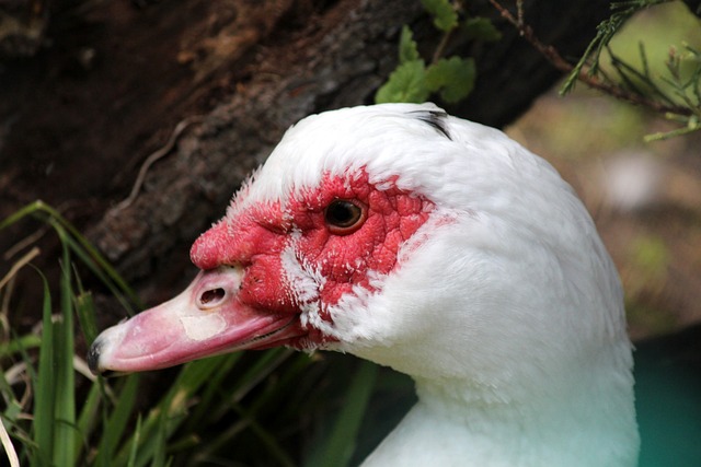 分的高效发 分的高效发