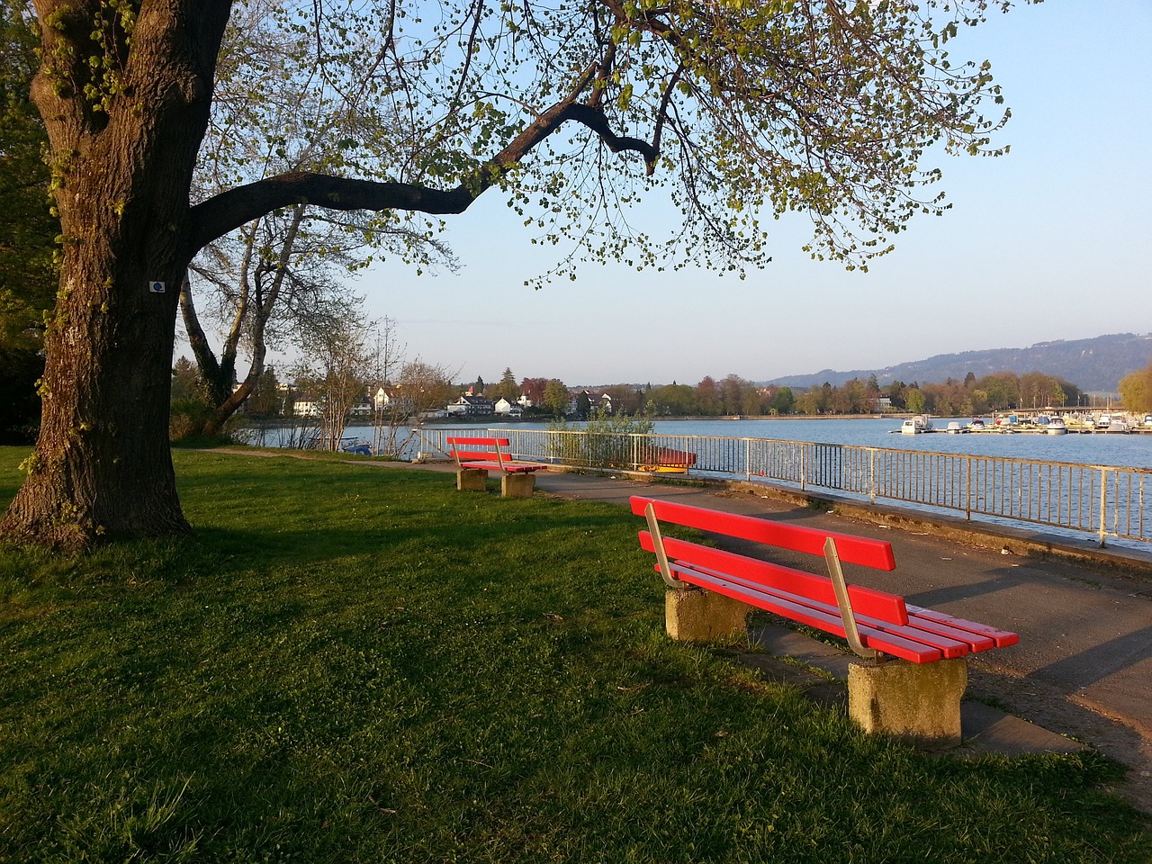 足协将加大 足协将加大