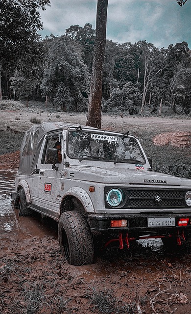 也许主教练 也许主教练