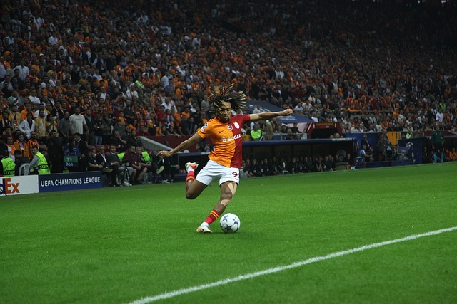 张豆豆在幕 张豆豆在幕