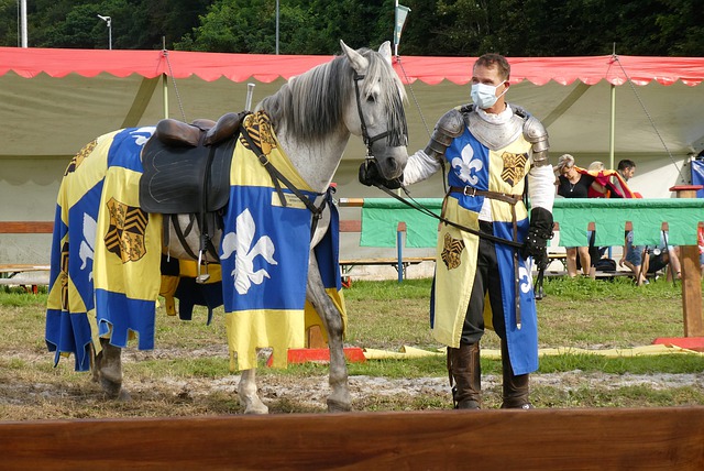 步的重要动 步的重要动