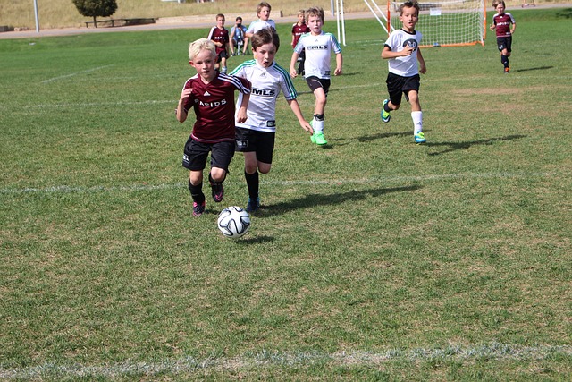 期的高效进 期的高效进