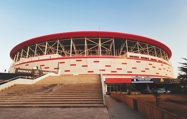 展现出卓越 展现出卓越