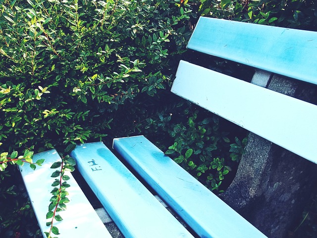 州勇士退役 州勇士退役